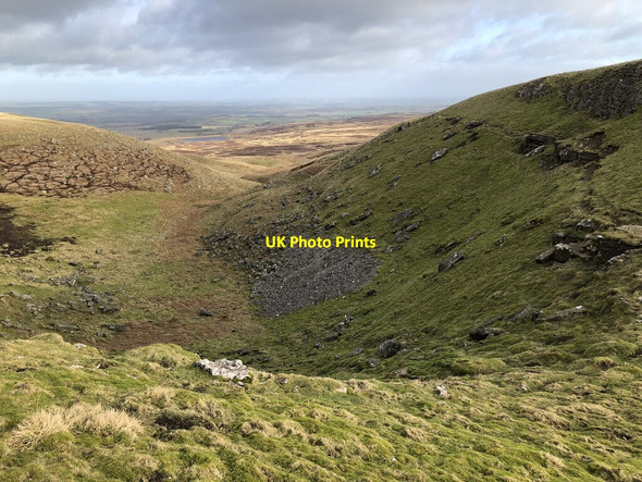 Photo 6"x4" Osmaril Gill Scargill c2022