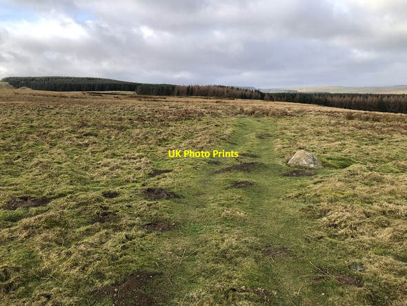 Photo 6"x4" Moorland Track, Black Hill Gate Scargill c2022