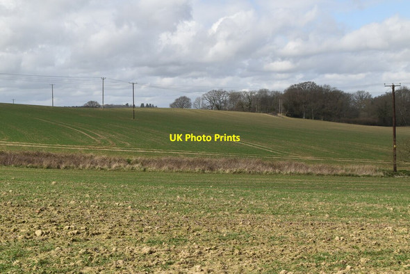 Photo 6"x4" Field and hedge Mountfield\/TQ7320 c2021