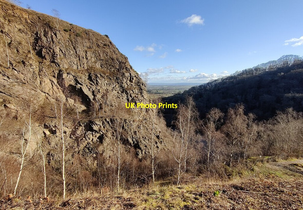 Photo 6"x4" Gullett Quarry at Swinyard Hill Hollybush\/SO7636 c2022