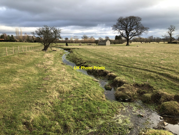 Photo 6"x4" Moor Beck, Staindrop Staindrop c2022