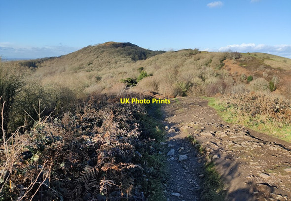 Photo 6"x4" Path towards the Herefordshire Beacon Chandler's Cross\/SO7738 c2022