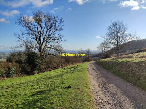 Photo 6"x4" Track descending Swinyard Hill Chandler's Cross\/SO7738 c2022