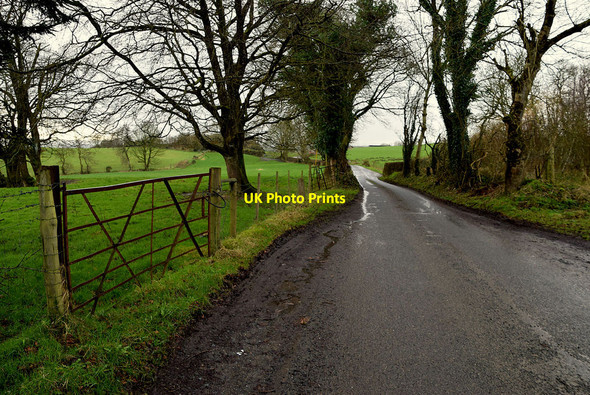 Photo 6"x4" Shinnagh Road Milltown\/H5775 c2022