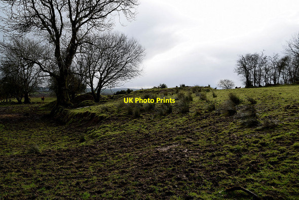 Photo 6"x4" Rough ground, Mullaghslin Glebe Milltown\/H5775 c2022
