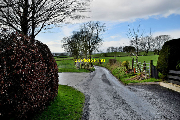 Photo 6"x4" Shinnagh Road, Mullaghslin Glebe Milltown\/H5775 c2022