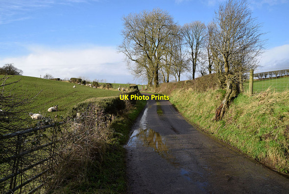 Photo 6"x4" Shinnagh Road Milltown\/H5775 c2022