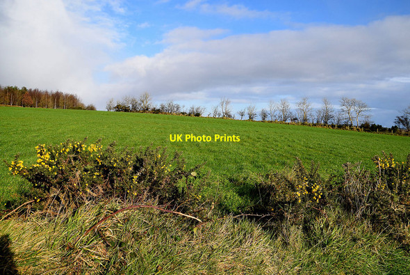Photo 6"x4" Whins, Bracky Sixmilecross c2022