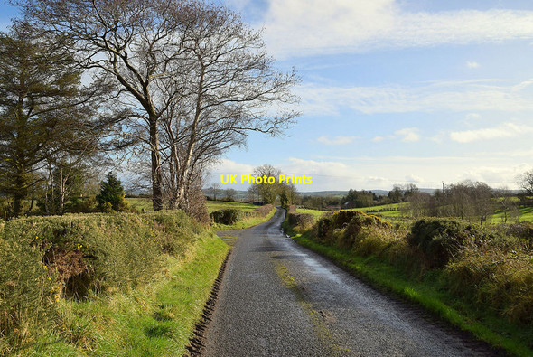 Photo 6"x4" Roeglen Road, Bracky Sixmilecross c2022