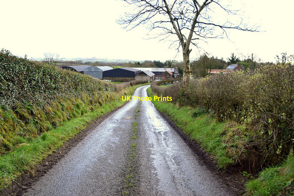 Photo 6"x4" Roeglen Road, Bracky Sixmilecross c2022