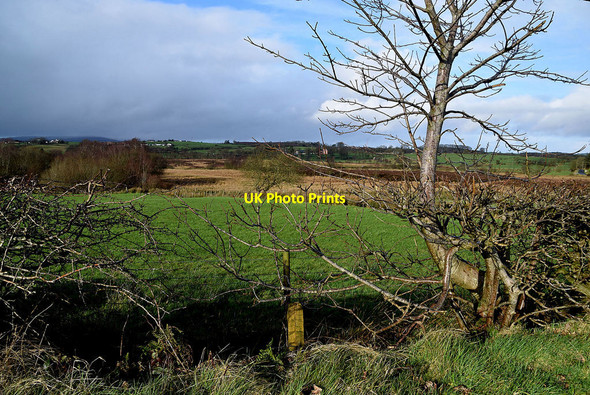 Photo 6"x4" Heathland, Mullaghslin Glebe Sixmilecross c2022