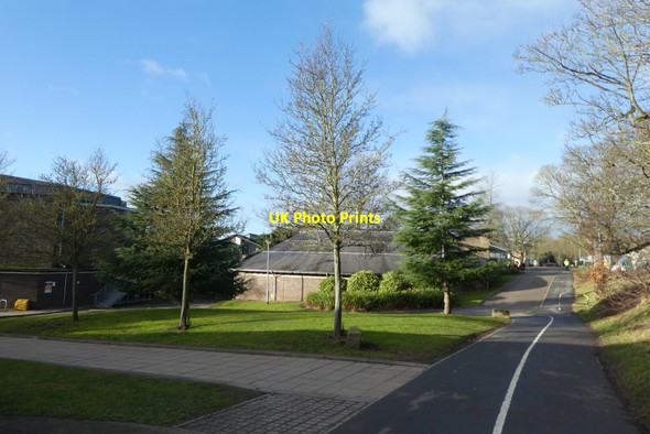 Photo 6"x4" Path near the Drama Barn Heslington c2022