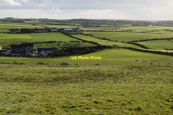 Photo 6"x4" Antrim pasture Portballintrae c2021