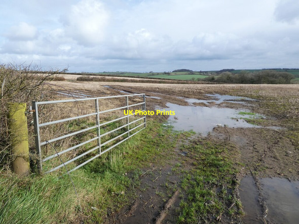 Photo 6"x4" Muddy field entrance, near Bunson King's Nympton c2022
