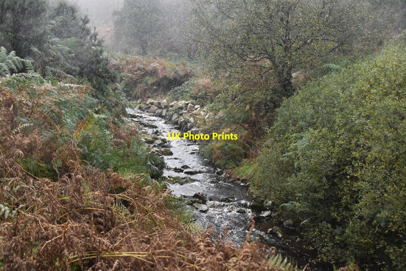 Photo 6"x4" Stream in Glenevin Crossconnell c2021