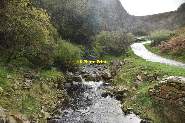 Photo 6"x4" Stream, Glenevin Crossconnell c2021 P2
