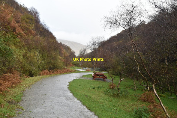 Photo 6"x4" Footpath, Glenevin Crossconnell c2021