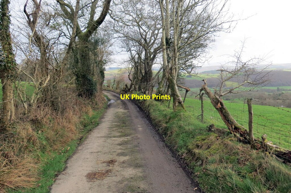 Photo 6"x4" Heol fynedfa Pantglas \/ Pantglas access road Llandovery\/Llanymddyfri c2022