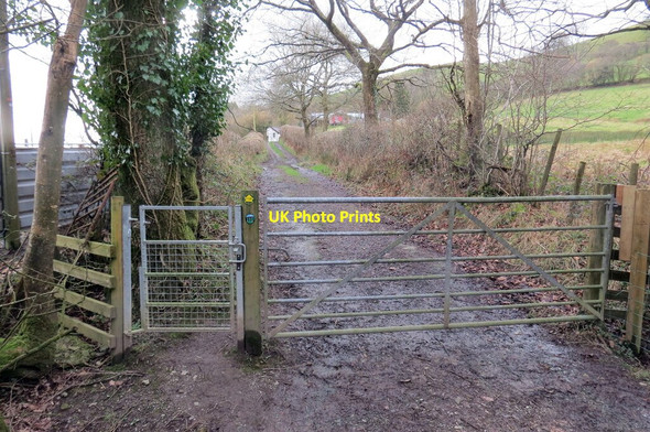 Photo 6"x4" Llwybr wrth ymyl Rhandirberthog \/ Path at Rhandirberthog Cilycwm c2022