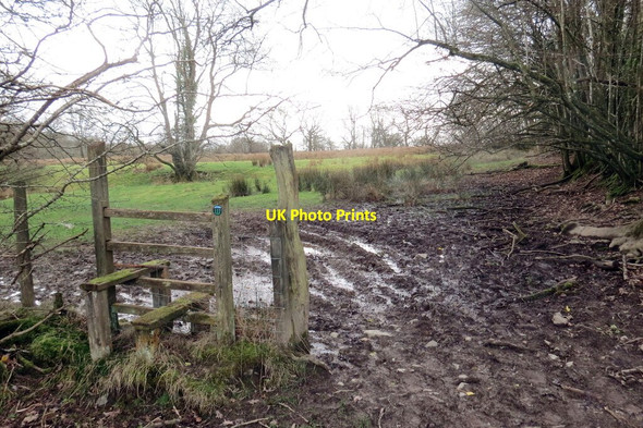 Photo 6"x4" Llwybr Rhandirberthog \/ Rhandirberthog path Cilycwm c2022