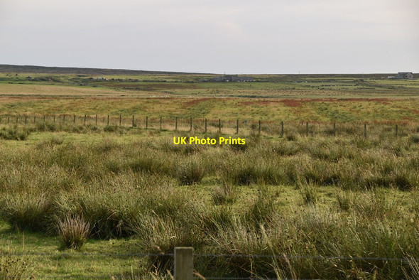 Photo 6"x4" Rough pasture John O' Groats c2021
