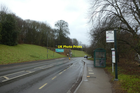 Photo 6"x4" Wentworth Way bus stop Heslington c2022