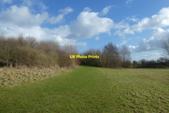 Photo 6"x4" Path towards the Bird Hide Heslington c2022
