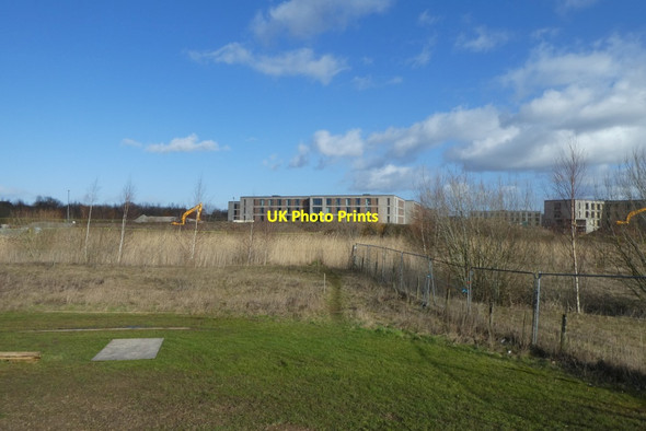 Photo 6"x4" Towards the lake Heslington c2022