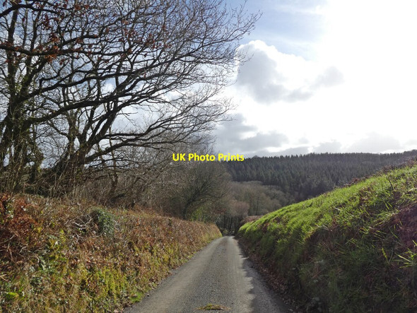 Photo 6"x4" Minor road to Culmleigh Chulmleigh c2022