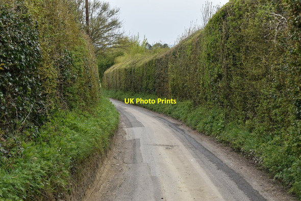 Photo 6"x4" Boyton Court Rd The Harbour c2021 P2