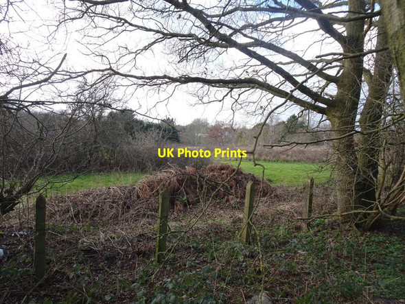 Photo 6"x4" Railway Path View Orton\/SO8695 c2022