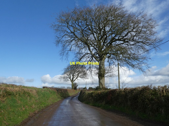 Photo 6"x4" Minor road to Edgiford Cross Chulmleigh c2022