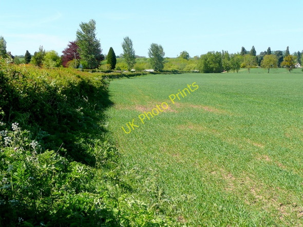 Photo 6"x4" Cereal land by the A466 Hill Gate c2009