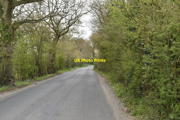 Photo 6"x4" New Barn Rd Farthing Green c2021 P1
