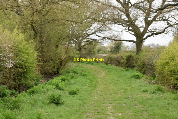 Photo 6"x4" Grassy footpath Hawkenbury\/TQ8045 c2021