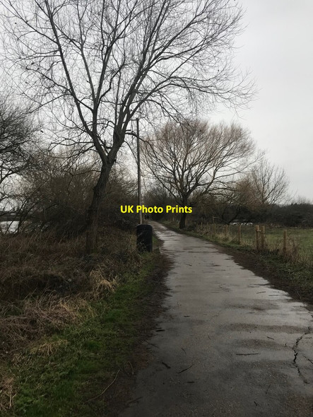 Photo 6"x4" Footpath at Attenborough Nature Reserve Long Eaton c2022