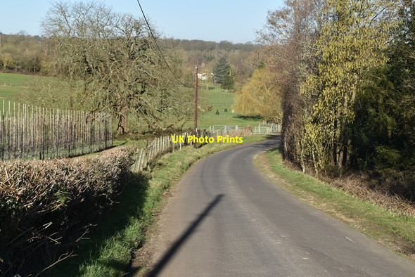 Photo 6"x4" Haymans Hill The Corner c2021 P1