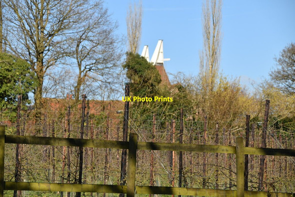 Photo 6"x4" Mount Easy Farm Oast Capel Cross c2021