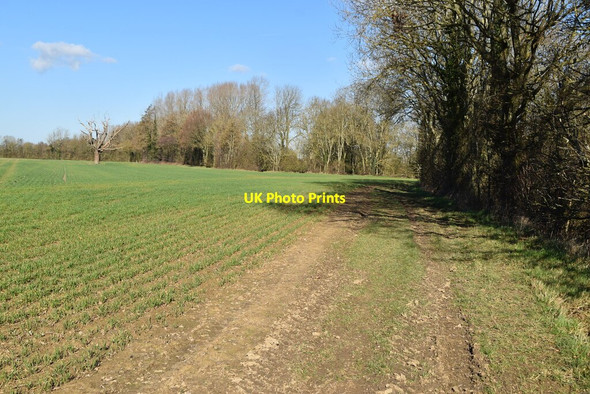 Photo 6"x4" Footpath by River Teise Claygate\/TQ7144 c2021