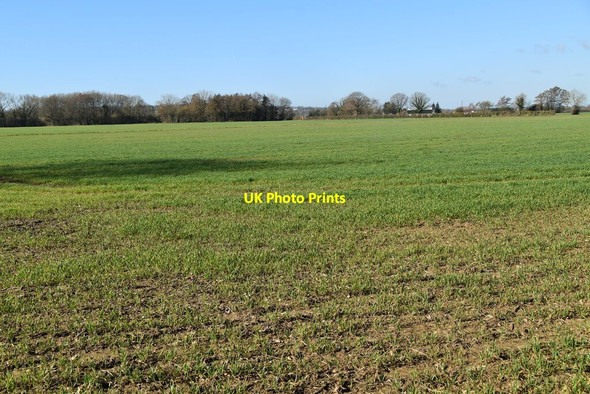 Photo 6"x4" Farmland, Teise valley Claygate\/TQ7144 c2021