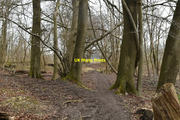 Photo 6"x4" Tandridge Hill Oxted c2021