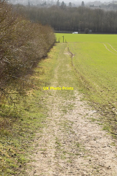 Photo 6"x4" North Downs Way Woldingham c2021