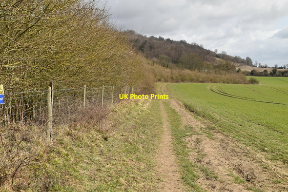 Photo 6"x4" North Downs Way Woldingham c2021 P1