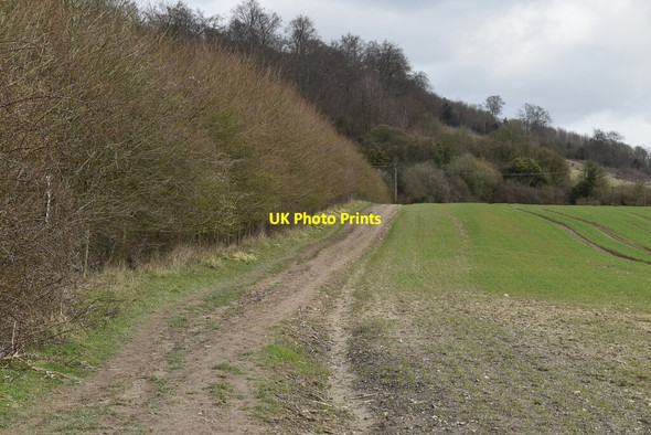 Photo 6"x4" North Downs Way Limpsfield c2021 P1