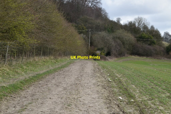 Photo 6"x4" North Downs Way Limpsfield c2021 P2