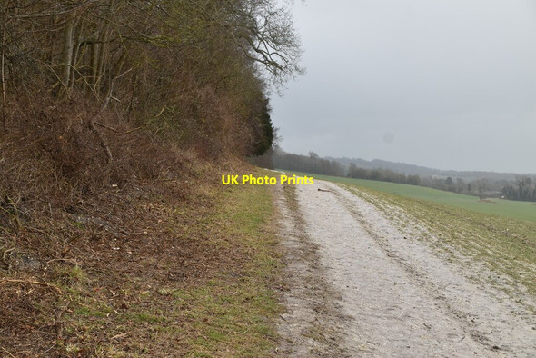 Photo 6"x4" North Downs Way Limpsfield c2021 P2