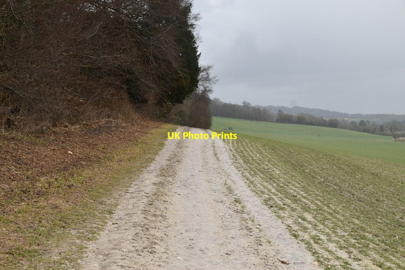 Photo 6"x4" North Downs Way Limpsfield c2021 P3