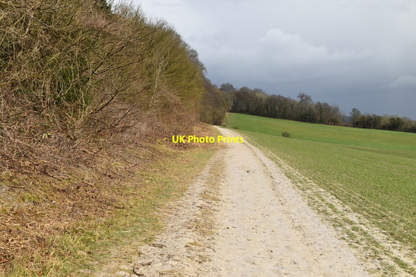 Photo 6"x4" Vanguard Way Limpsfield c2021