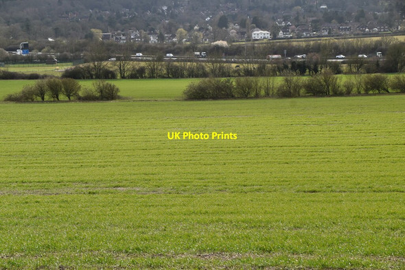 Photo 6"x4" Arable land Limpsfield c2021