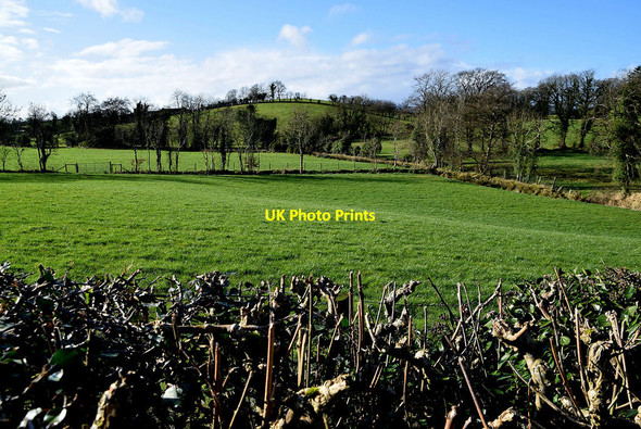 Photo 6"x4" Edenafogry Townland Fintona c2022 P1